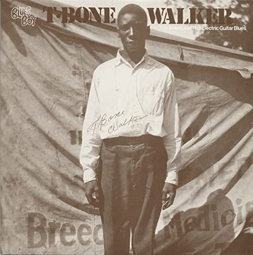 The Inventor Of The Electric Guitar Blues (LP)