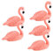 DECOMELODY 5pcs Flamingo Nail Display Practice Stands Resin False Nail Holder Tool for Beginners and Professionals Stylish Design Stable Base for Easy Painting and Training