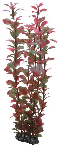 HOBBY Aquaristik Ludwigia I 34 cm I künstliche Aquarienpflanze I pflegeleichte Aquarium Deko I naturgetreue Dekoration für Süßwasseraquarien I Wasserpflanze aus Kunststoff