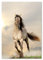 PICSonPAPER Poster Poster Wilder Hengst, ungerahmt 40 cm x 50 cm, Kunstdruck, Wandbild, Fineartprint, Pferdeposter, Tierposter (Hengst, 40 cm x 50 cm)