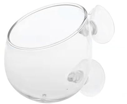 Glas-Pflanzenhalter mit Saugnäpfen für Pflanzendekoration, Dekoration, Aquarien, Landschaftsbau, Pflanzbecher