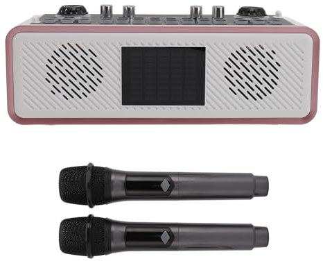 ZAICOLER Musikstudio-Ausrüstung, Podcast-Ausrüstung, Karaoke-Soundkarten-Set, Typ-C-Lade-Lautsprecher, Kabelloses Mikrofon-Set mit Sound-Mixer-Board für Telefon-PC