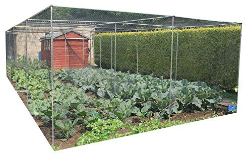 Walk in Fruit or Vegetable Cage Kit Includes Door H2 x W1.5 x L6 Black Soft Butterfly Netting, Pegs and Clips