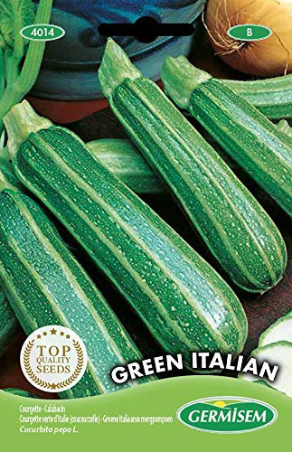 Germisem Green Italian Semillas de Calabacín 3 g, EC4014
