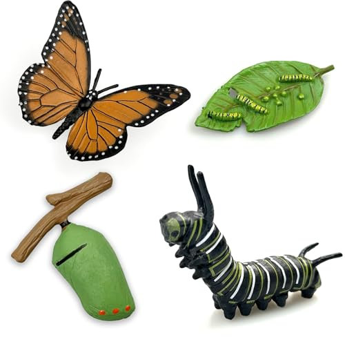 Lukinuo Schmetterling Lebenszyklus Spielzeug Figuren 4pcs Realistische Raupe zu Monarch Schmetterling Lebensstil Wachstumsstufen Insekt Figuren Playset Lehrwerkzeuge für Kinder Party Gefälligkeiten
