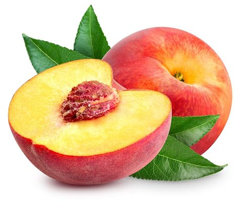 Peach Trees, 'Pergerine', 1 x Tall Plant in a 10 Litre Pot, 1.4 to 1.6 Metre Height, Peaches, Garden Ready and Ready to Plant, Premium Quality Fruit Trees
