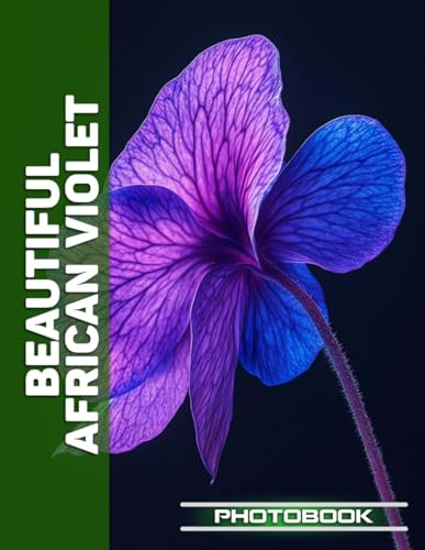 African Violet Stress Relief Photo Book | Peaceful African Violet Arrangements Promote Calmness In Stress-Free Floral Photography