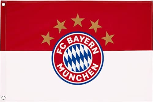 FC Bayern Fahne Originalware Flagge 100 x 150 cm Motiv LOGO + Ösen Service