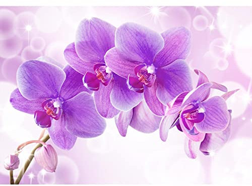 Runa Art Fototapeten 396 x 280 cm Orchidee Blumen - Vlies Wanddekoration Wohnzimmer Schlafzimmer - Deutsche Manufaktur - Lila 9012012b