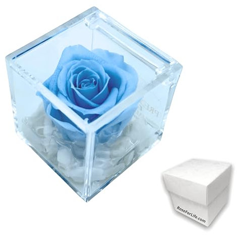 Cubo Rosa Stabilizzata Profumata Azzurra da 5 cm con Rosa azzurra e base marmo di Carrrara | Idea Regalo Bomboniere comunione, cresima, Battesimo, Fatto in Italia (Celeste 1054)