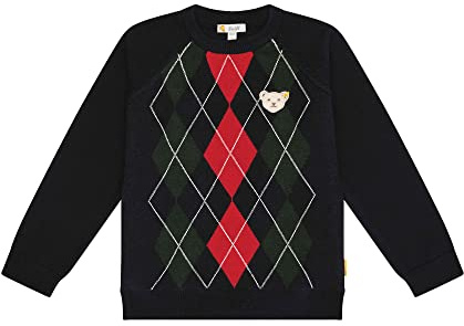 Steiff Jungen Year of The Teddybear Pullover Sweater