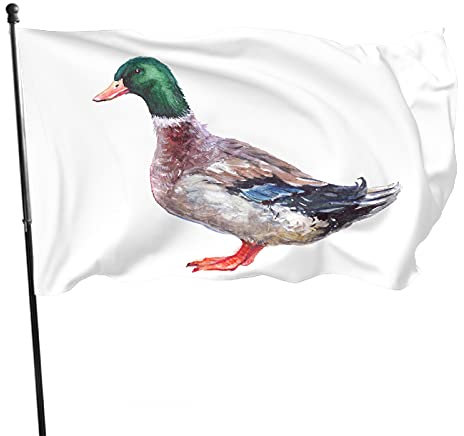 Fahnen 5ft x 3ft mit Ösen, Ente Flaggen Langlebige Polyesterflaggen 5 Fuß x 3 Fuß mit Ösen Banner ideal für Garten Terrasse Hof im Freien