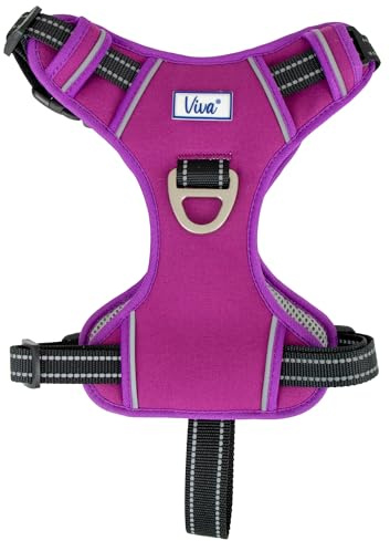 Ancol Viva Exercise and Travel Dog Harness in Purple - Comfortable Pet Accessory with Padded Chest and 2 Leash Clips - XL 80-120cm