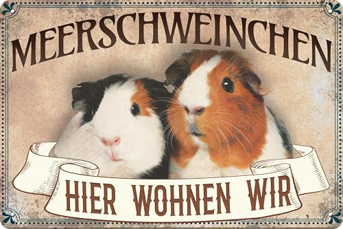 Wetterfestes 14 x 20 cm Blechschild, Wandschild, Türschild Hier wohnen wir: Meerschweinchen