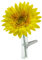 SANDINI Autovase mit Seidenblume/Kultblume Passend für jedes Auto (Gerbera Gelb)