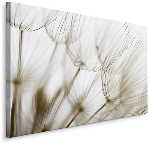 Muralo Wandbilder Blumen 120 x 80cm Bild auf Leinwand Wandbild Kunstdruck Pusteblumen Löwenzahn Leinwandbilder Schlafzimmer Wohnzimmer Wanddekoration Design Wand Bild Natur Landschaft