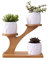 Lot de 3 pots de fleurs en forme de chouette avec support de soucoupes en bambou à 3 niveaux, pot de fleurs en céramique blanche avec drainage, mini pot de cactus de jardin (3 pièces)