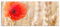 Pixxprint Glasbild Panorama, Wandbild aus Echtglas, Mohnblume im Kornfeld, 100x40 cm, inkl. Aufhängung und Abstandshalter