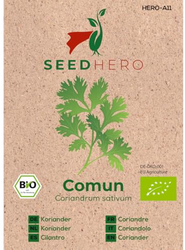 Seedhero BIO Koriander Comun Kräutersamen – 3er Pack – je Tüte ca. 100 Pflanzen (gesamt ca. 300) – Saatgut für Garten, Balkon & Hochbeet