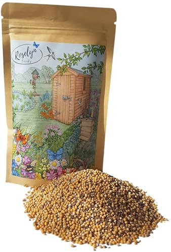 Roselyn Seeds Green Manure Seed Mixture | Fast Growing Cover Crop Boosts Nitrogen & Soil Health | Ideal for Vegetable Patch or Allotment | Mustard, Crimson Clover & Phacelia | 100 g - 20 m²