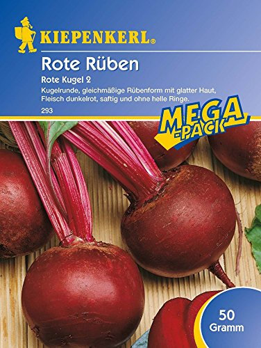 Kiepenkerl Rote Beete Rote Kugel 2