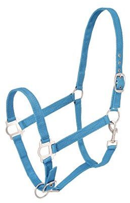 Tough 1 Nylon Halter with Satin Hardware, Turquoise, Horse