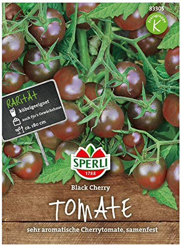 Sperli Premium Tomaten Samen Black Cherry ; sehr aromatische Cherrytomate ; Kirschtomaten Saatgut