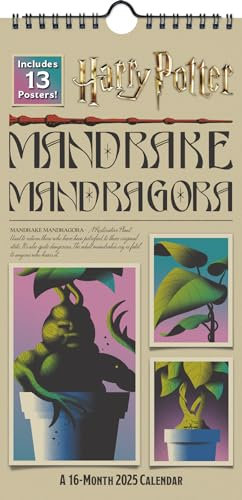 2025 Harry Potter Mini Poster Calendar