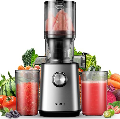 GDOR - Cold Press Juicer Machines, 4.25 (10.7 mm), Slow Juicer for Whole Fruits and Vegetables, Low Noise, Easy to Clean, Silver