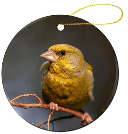 Keramik Ornamente, Grünfink - Vogel Christbaum Hängeornamente Mit Seil Weihnachten Ornament Weihnachts Ornamente Für Deko Weihnachtsbäume