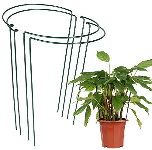 LIDEBLUE Lot de 4 piquets de support pour plantes et légumes de jardin en métal demi-rond pour plantes, fleurs, tomates