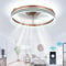 Cainjiazh Ceiling Fans with Lights Fandelier Modern Ceiling Fan Dimmable Low Profile Ceiling Fan Flush Mount Bladeless Chandelier Fan Ceiling Fan Lights for Bedroom Kitchen and Living Room(50cm Gold)