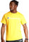 Champion Men's Classic Jersey Script T-shirt, Team Gold, XXL