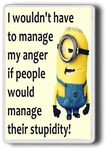 Pegasus Designs Minions Manage My Anger Jumbo Size 9*6cm Rectangular Yellow Refrigerator Magnet, 1 Count
