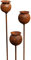 Lot de 3 piquets de jardin en métal rouillé - Décoration de jardin - Tuteur de parterre - Rouille naturelle (capsule de coquelicot)