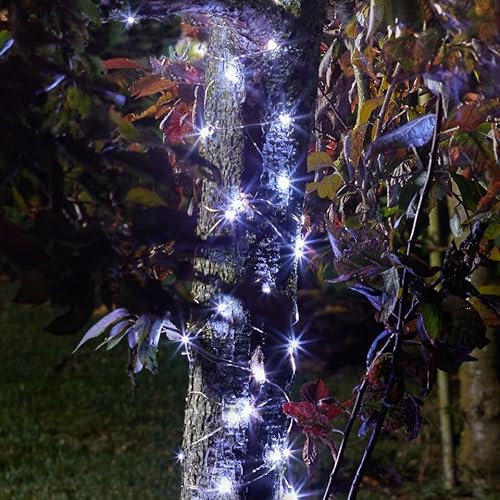 Solar Powered Firefly String Lights | for Illuminating Garden Trees, Shrubs, Trellises and Umbrellas | Cool White | 100 LED Bulbs
