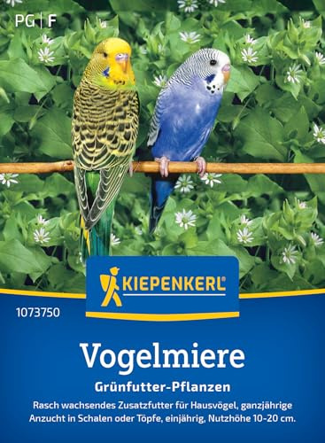 Kiepenkerl Vogelmieresamen Grünfutter-Pflanzen 1073750, Blumensaat | Rasch wachsendes Zusatzfutter für Hausvögel, ganzjährige Anzucht in Schalen oder Töpfe, einjährig, Nutzhöhe 10-20 cm