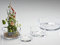 sandrarich-terrinaredondacristal14 X 7.5he. 12 (704014)