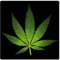 1art1 Cannabis Hanf Blatt Poster-Sticker Tattoo Aufkleber 9x9 cm