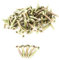 Pozi Lot de 100 vis à bois plaquées zinc à tête plate pour bois tendre et panneaux d'aggloméré, 4 x 25 mm