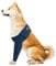 MPS Medical Pet Shirt - TAZ, Vorderbein Ärmel für Hunde, L
