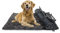 HS-Hundebett® Hundedecke Outdoor S (55x75 cm) wasserdichte Hundedecke waschbar – 3 cm Füllung – Ideal für Reisen und Zuhause – Anthrazit, Made in DE