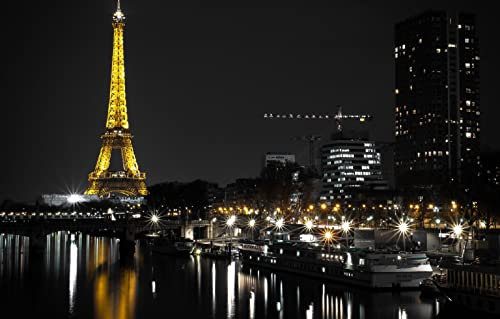 LHJOYSP Puzzle Jigsaw en Bois 1000 Pieces Jetée de la Tour Eiffel des lumières de la Ville à Paris France 75x50cm