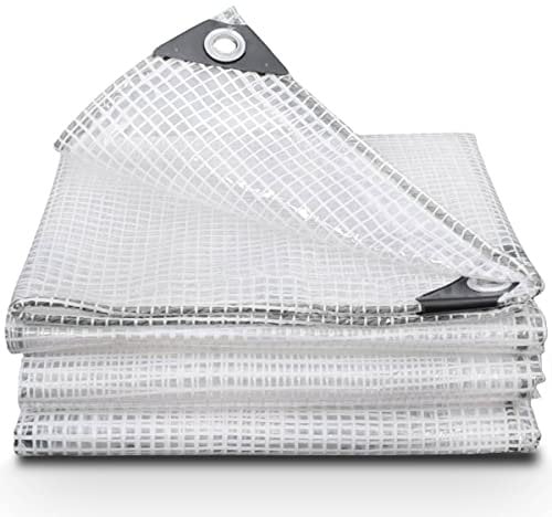 Bâche transparente imperméable et résistante - 4 m x 5 m - En plastique - 175 g/m² - Polyvalente - Utilisée pour couvrir les meubles de jardin et comme tapis de sol pour camping (4 x 4,9 m)