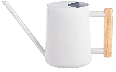 IMEEA 1L Weißer Gießkanne,kleinere Topfpflanzen Edelstahl- Indoor Gießkanne mit langem Auslauf und komfortablem Holzgriff für Zimmerpflanzen Sukkulenten