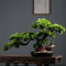 Künstlicher Bonsai-Bonsai-Kunstbaum, realistische Kunstpflanzendekoration, immergrüner Bonsai-Kunstbaum als Badezimmer-/Schreibtischdekoration