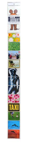 HAB & GUT -DV006- Fotovorhang transparent Taschenvorhang mit 15 Taschen, Querformat, Collage Taschengröße 10,8 x 15,5 cm, Höhe 171cm, Breite 16cm