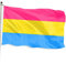 FSFLAG Pansexuelle Flagge – Pansexueller Stolz Flagge – Gay Pride Flagge 3 x 5 – LGBTQ Flaggen Dekorationen mit zwei Messingösen