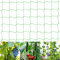 Butyeak Red de Jardín para Plantas Trepadoras - Enredadera Malla, Enrejado para Verduras, Frutas, Flores - 2 x 3m