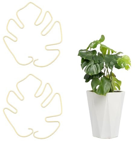 Kinretixia 2 pezzi a forma di foglia, supporto per staminali per piante, supporto durevole in ferro per Monstera e piante rampicanti, set di morsetti in bambù per stabilizzare le foglie, supporto